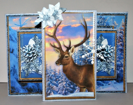 Pop Out Tri Shutter Card O Kit.4 by Kristina Norbat
