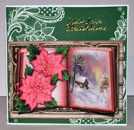 Christmas Book & Poinsettias by Kristina Norbat
