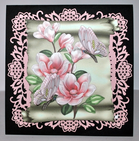 Scroll and Magnolia Blossoms by Kristina Norbat