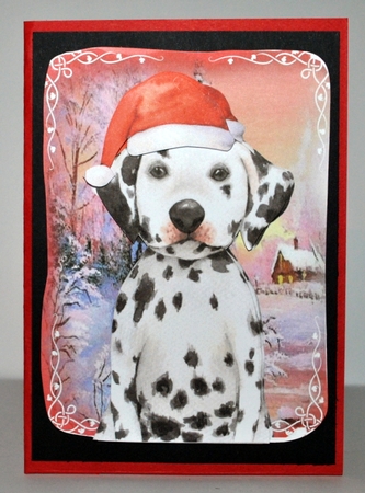 Festive Dalmation by Kristina Norbat