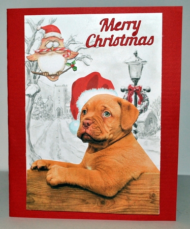 Cute puppy 2 by Kristina Norbat