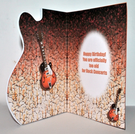 The Electric Guitar by Kristina Norbat