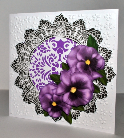 CU Purple pansies by Kristina Norbat
