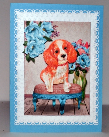 Forever Paws Card Front Mini Kit.1 by Kristina Norbat