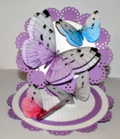 Spring Butterfly by Kristina Norbat