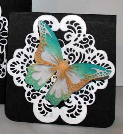 Colourful butterflys by Kristina Norbat