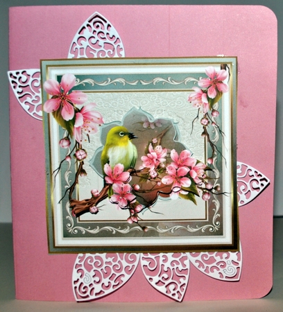 Bird and cherry blossom 7x7 by Kristina Norbat