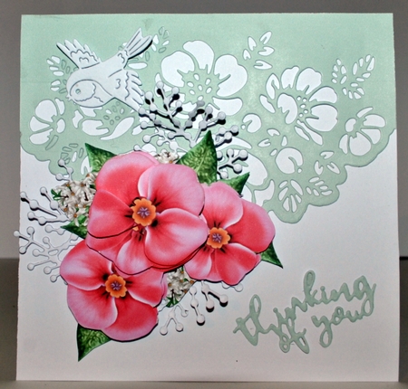 CU Beautiful Pink Primroses by Kristina Norbat