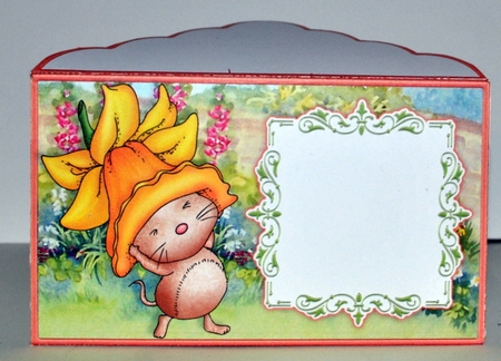Easter Mothers Day Birthday Money Wallet Gift Voucher Envelope DAFFODIL FUN by Kristina Norbat