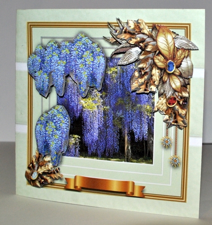 Blooms Bursting Out - Wisteria by Kristina Norbat