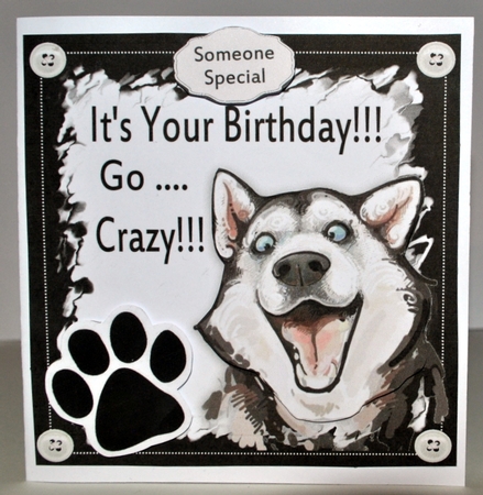 Its Your Birthday! Husky! 8x8 by Kristina Norbat