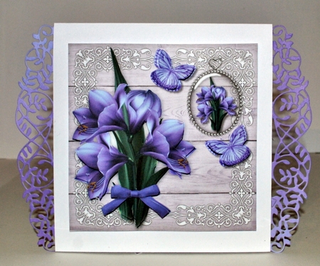 Amazing Amaryllis Mini Kit by Kristina Norbat