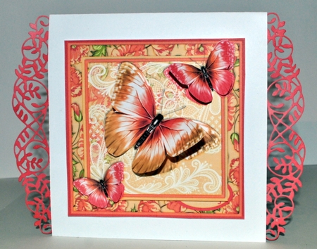 Colorful Butterflies 1466 by Kristina Norbat