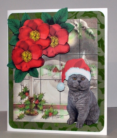 Cats and Kittens  by Kristina Norbat