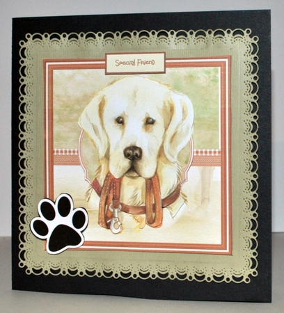 A Golden Lab dog by Kristina Norbat