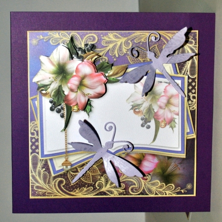 Opulent Festive Amaryllis Mini Kit by Kristina Norbat