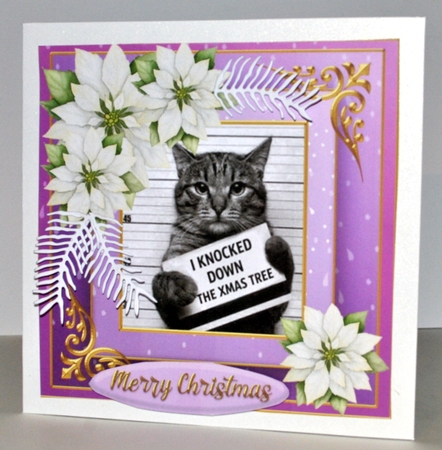 Christmas cat quick card  by Kristina Norbat