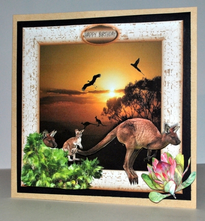 kangaroo by Kristina Norbat