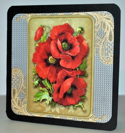 Lovely Red Poppies  by Kristina Norbat