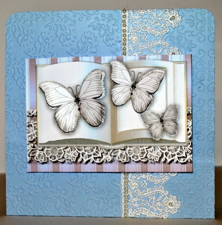 Butterflies Book Silver by Kristina Norbat