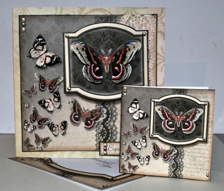 Wings by Kristina Norbat