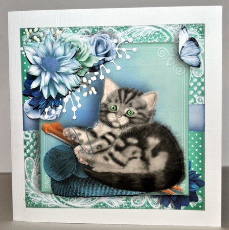 Knitty Kitty  by Kristina Norbat