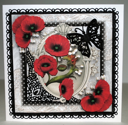 Beautiful Poppies  by Kristina Norbat