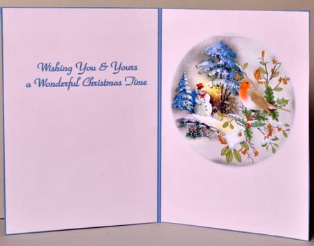 The Snowman & the Robin - Insert by Kristina Norbat