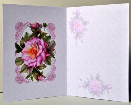 Pink Lace and Pearls Insert by Kristina Norbat