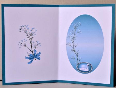Swan Insert by Kristina Norbat