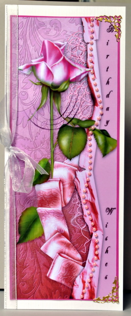 Pink Rose Dl by Kristina Norbat