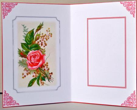 Floral Insert 32 by Kristina Norbat