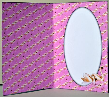Swans Insert (violet Pink) by Kristina Norbat