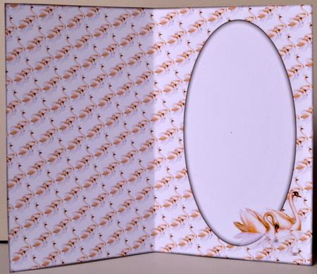 Swans Insert (white) by Kristina Norbat