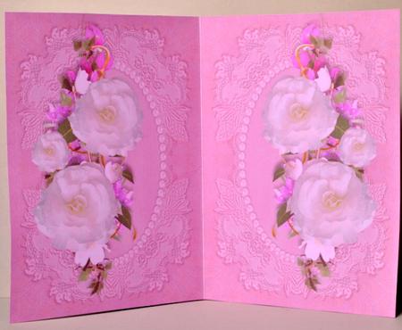 White Rose and Lace Insert by Kristina Norbat