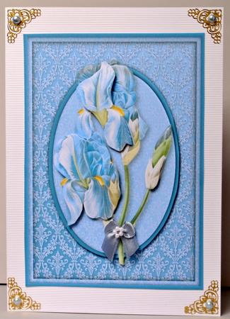 Blue Iris on Damask Quick Card by Kristina Norbat