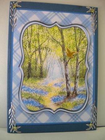 A Path Through Bluebell Woods by Kristina Norbat