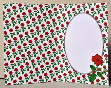 Red Hibiscus Insert by Kristina Norbat