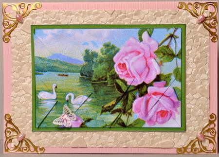 Swan Lake Roses - Diamond Stacker Card by Kristina Norbat