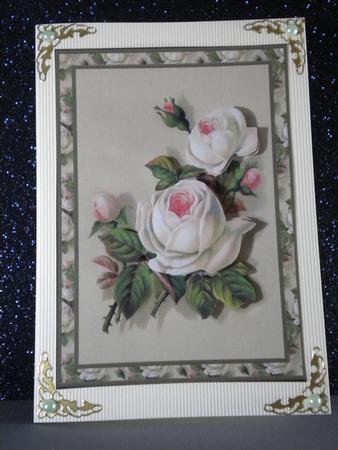 Cream Roses Card Front by Kristina Norbat