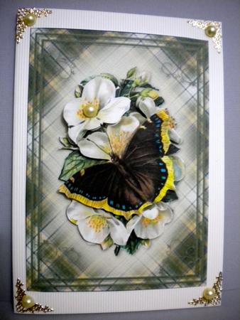 Butterfly Card Front by Kristina Norbat