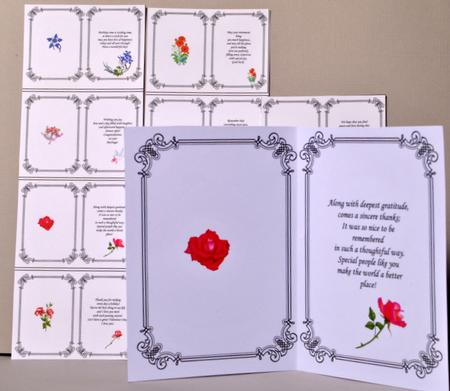 Pack I- 11 General Inserts by Kristina Norbat