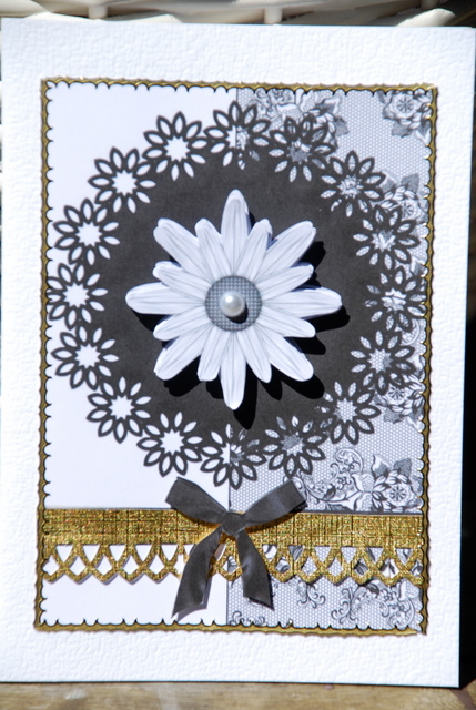 Daisy on Lace by Kristina Norbat