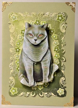 Taupe and Moss Pretty Floral Card Fronts by Kristina Norbat
