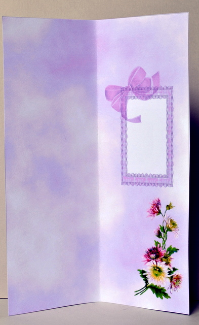 Mauve Asters for You - Large Dl Insert by Kristina Norbat