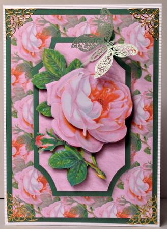 Pink Rose Quick Card by Kristina Norbat