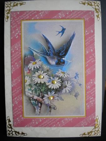 Bird and Daisy by Kristina Norbat