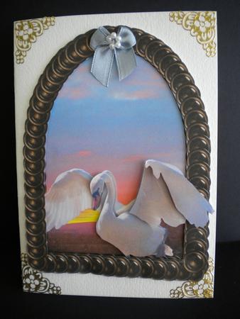 Majestic Swan in Sunset with Frame by Kristina Norbat