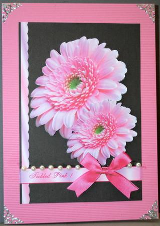 Tickled Pink by Kristina Norbat