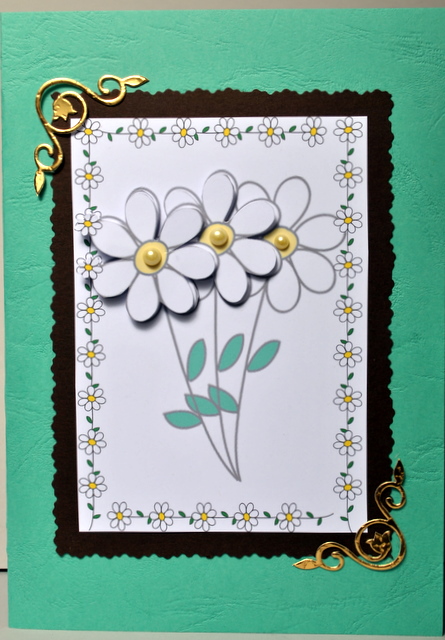 Simple Daisy Background Paper by Kristina Norbat